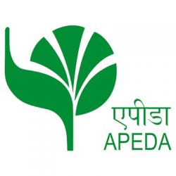 apeda-logo